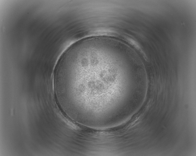 X0000062611275200512230910