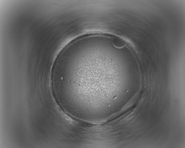 X0000062611279200512230910