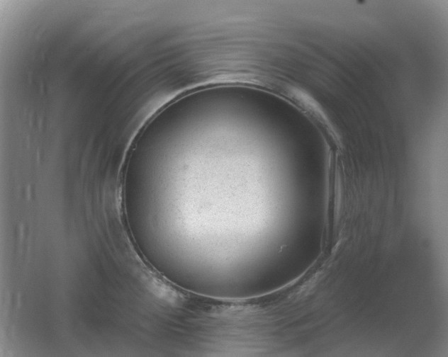 X0000062611284200512230909