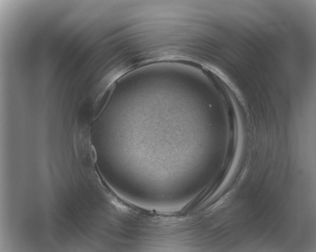 X0000062611289200512230909