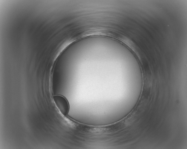 X0000062611290200512230909