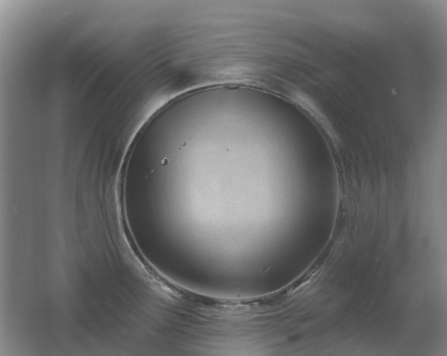 X0000062611291200512230909