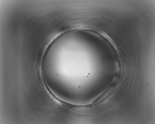 X0000062611293200512230909