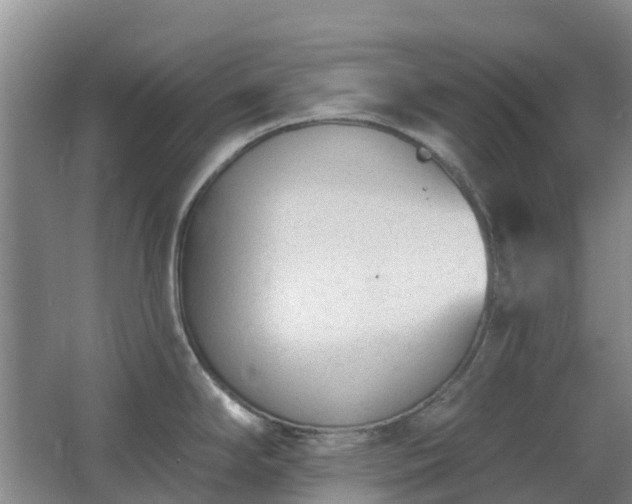 X0000062611294200512230909