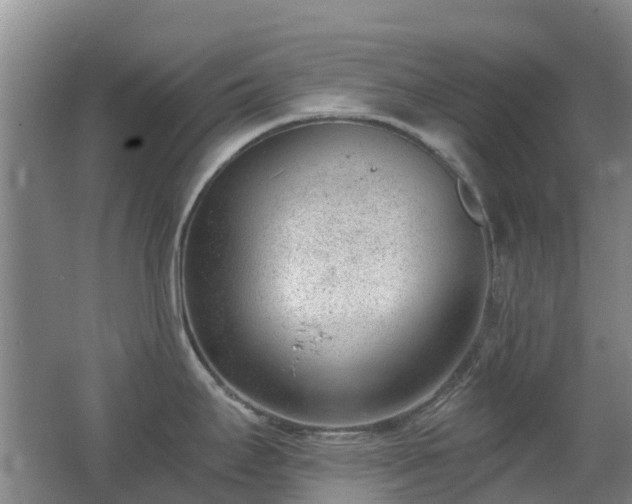 X0000062611295200512230909