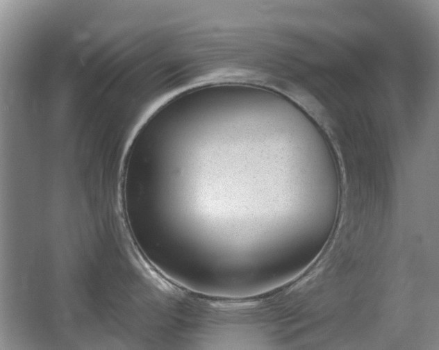 X0000062611296200512230909