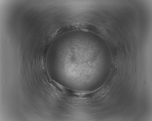 X0000062611298200512230908