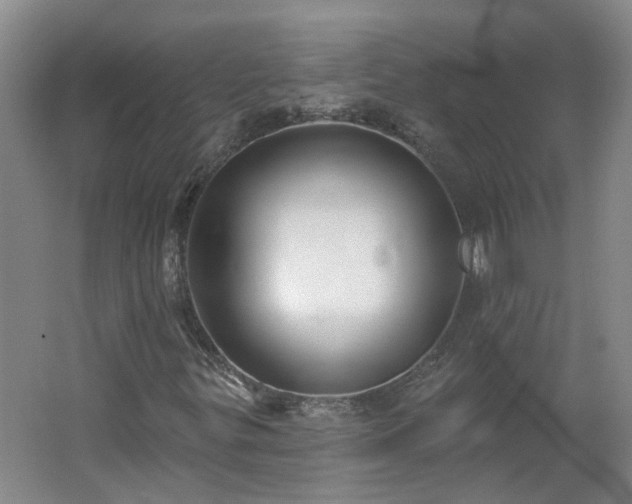 X0000062611299200512230908