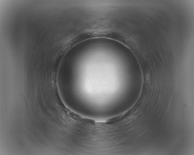 X0000062611300200512230909