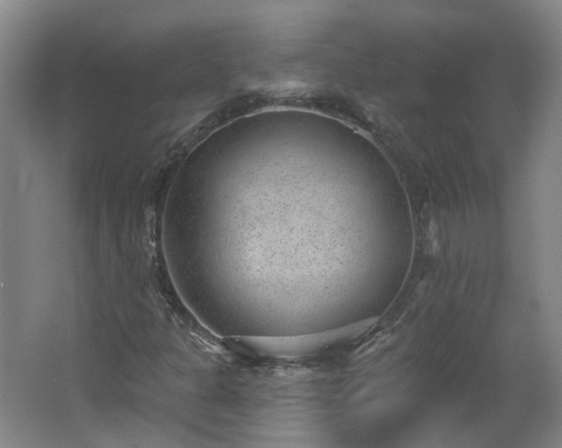 X0000062611301200512230909