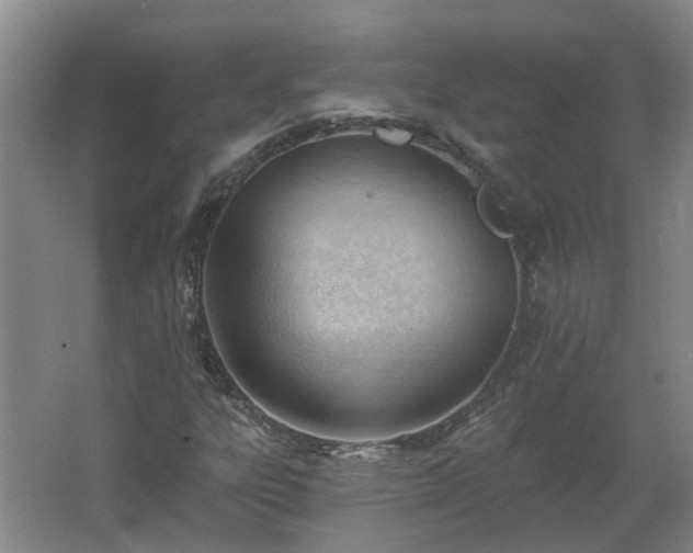 X0000062611303200512230909