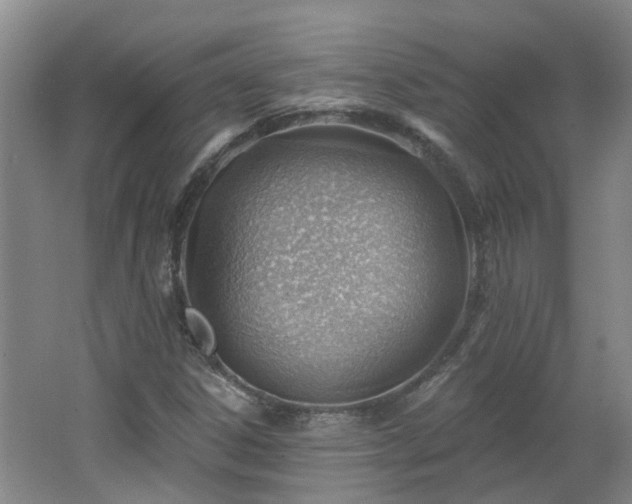 X0000062611306200512230909