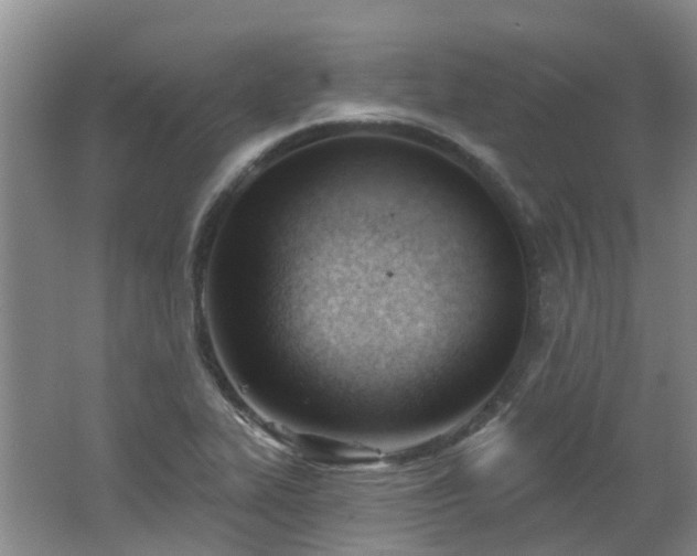 X0000062611319200512230909