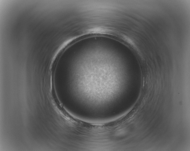 X0000062611323200512230909