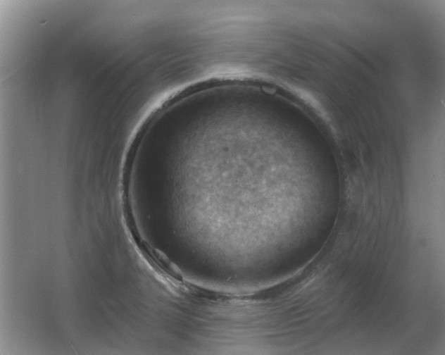 X0000062611327200512230909