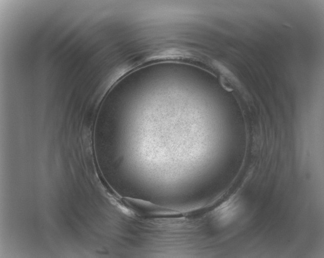 X0000062611329200512230909