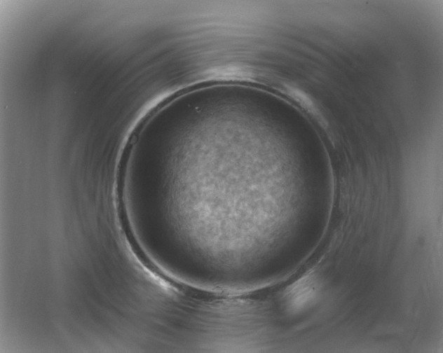 X0000062611331200512230909