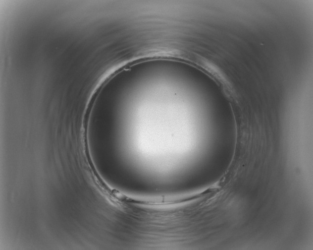 X0000062611332200512230909