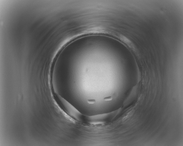 X0000062611334200512230909