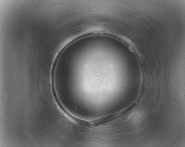 X0000062611335200512230909