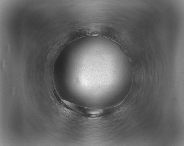 X0000062611345200512230908