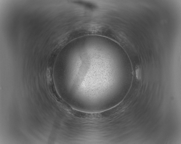 X0000062611347200512230908