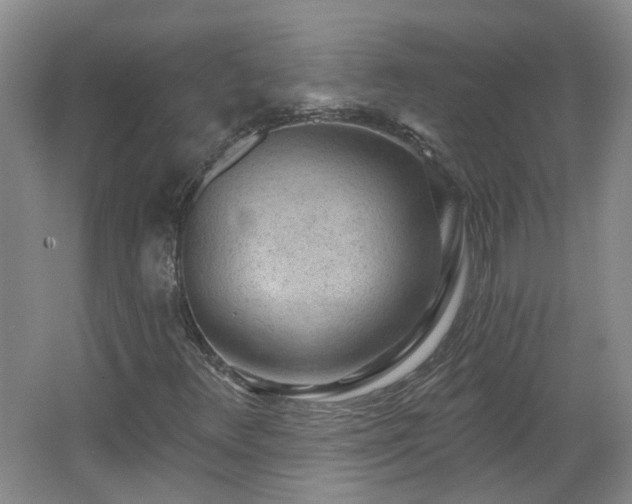 X0000062611348200512230908