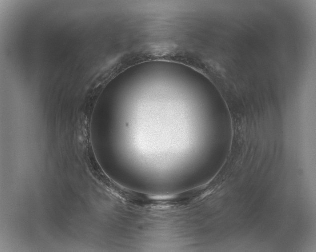 X0000062611349200512230908