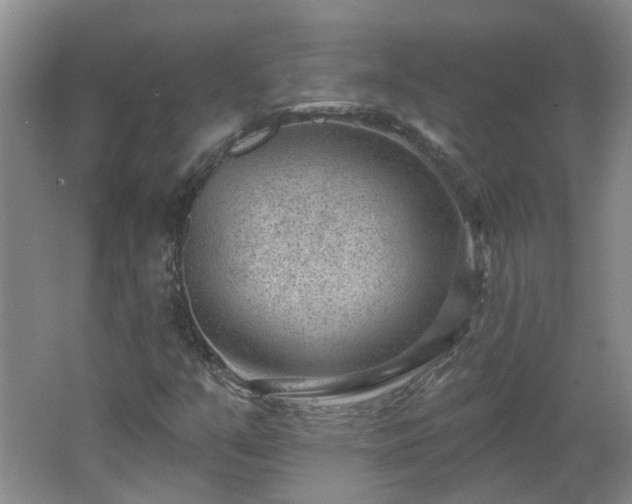 X0000062611351200512230908