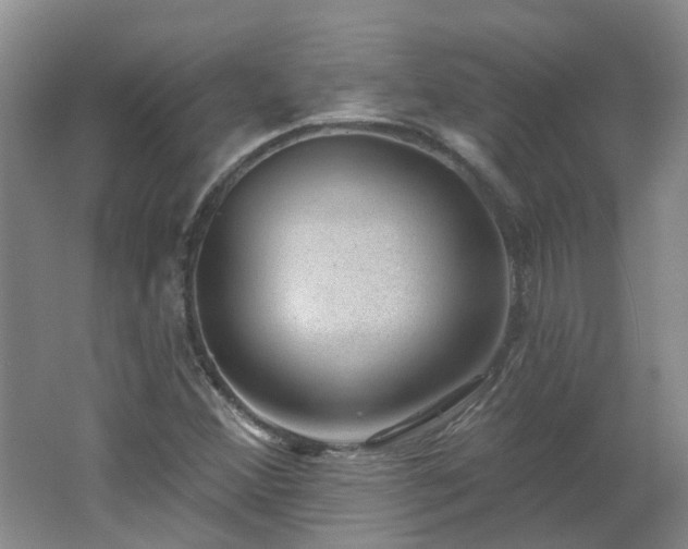 X0000062611356200512230908