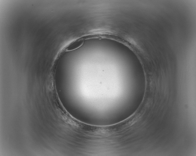 X0000062611358200512230908