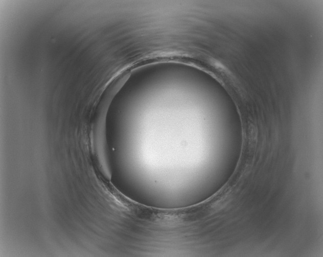 X0000062611361200512230908