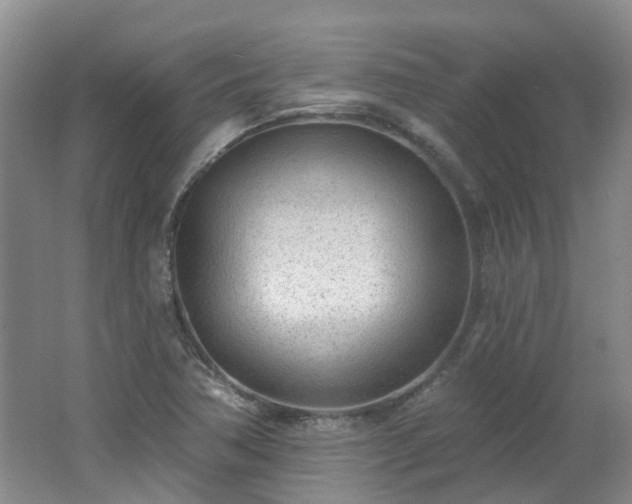 X0000062611362200512230908