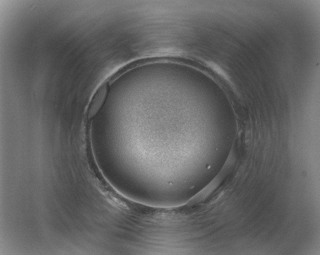 X0000062611364200512230908