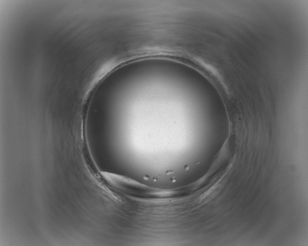 X0000062611365200512230908