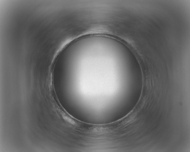 X0000062611366200512230908