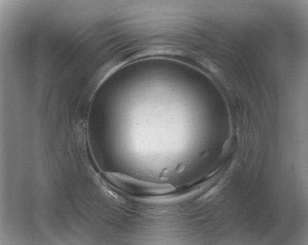 X0000062611369200512230908