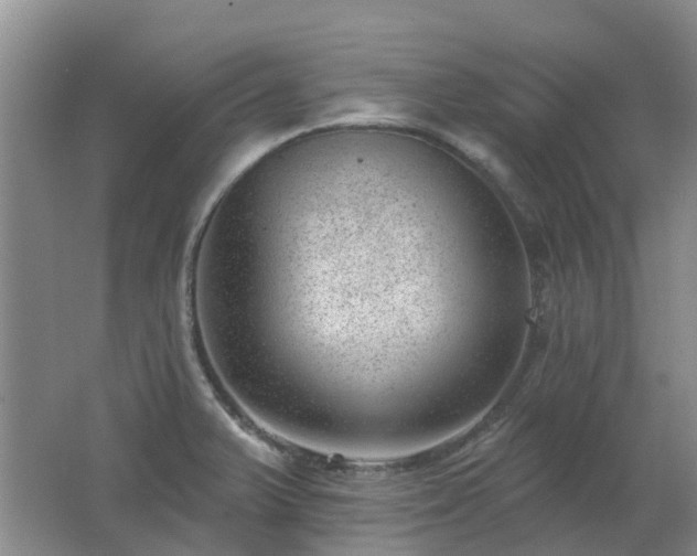 X0000062611375200512230908