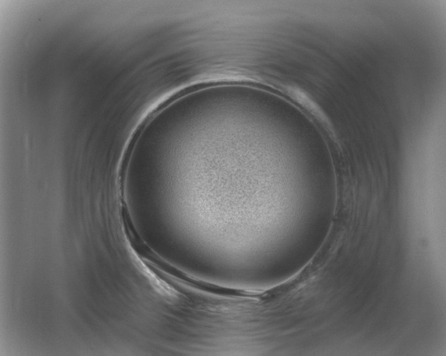 X0000062611380200512230908