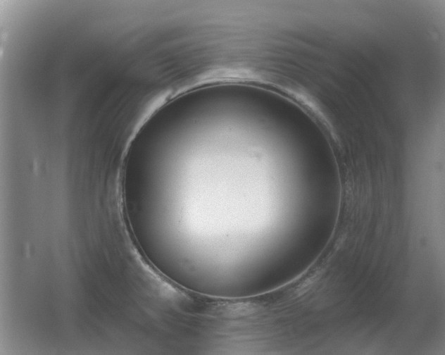 X0000062611382200512230908