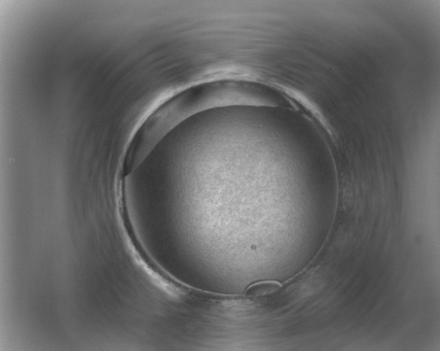 X0000062611383200512230908