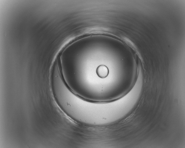 X0000062611384200512230908