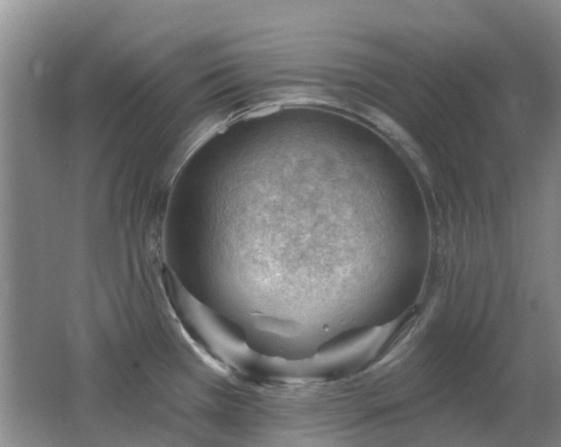 X0000062611385200512230908