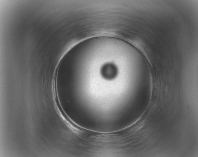 X0000062611391200512230908