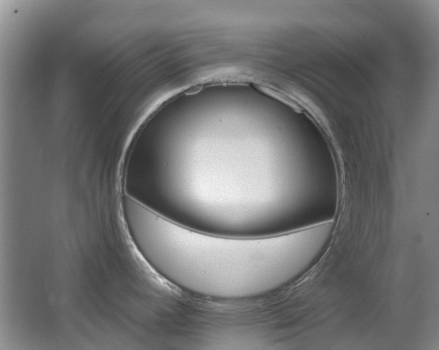 X0000062611392200512230908