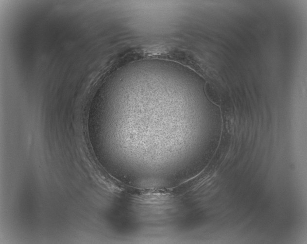 X0000062611393200512230907