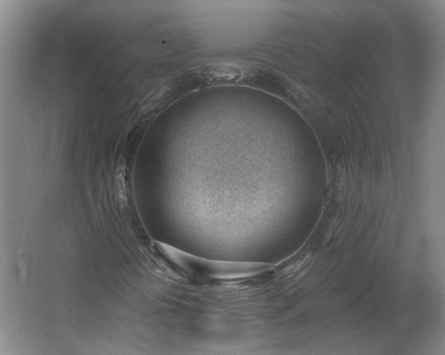 X0000062611394200512230907