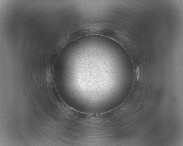 X0000062611395200512230907