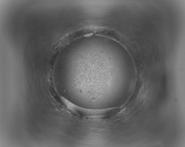 X0000062611397200512230907