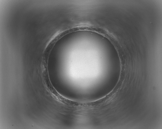 X0000062611400200512230907